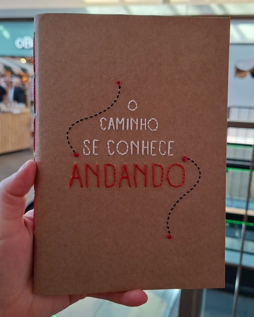 Meraki Ponto a Ponto