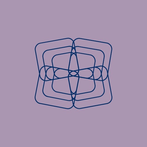 VSNAK logo