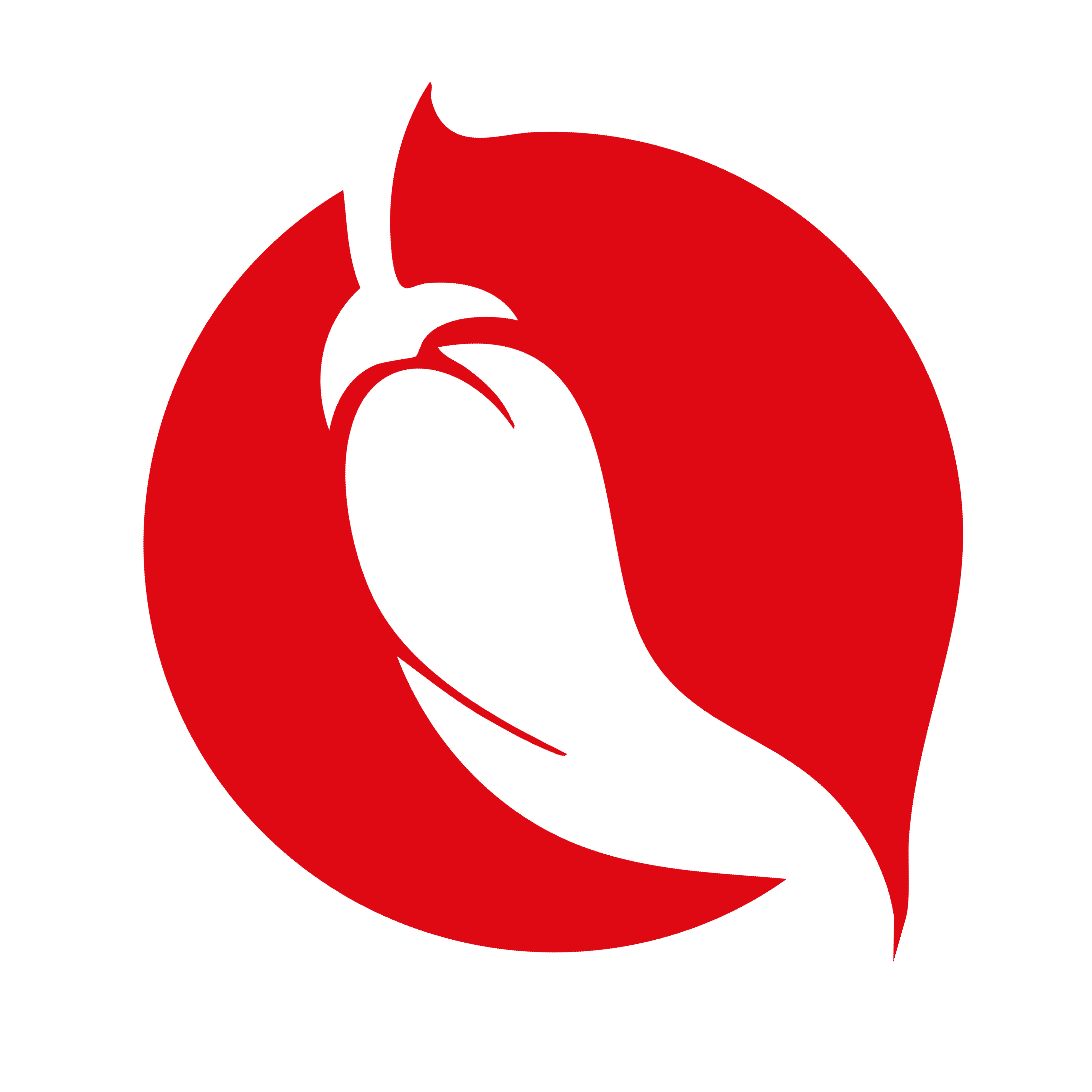 A Pimenteira Oficial logo